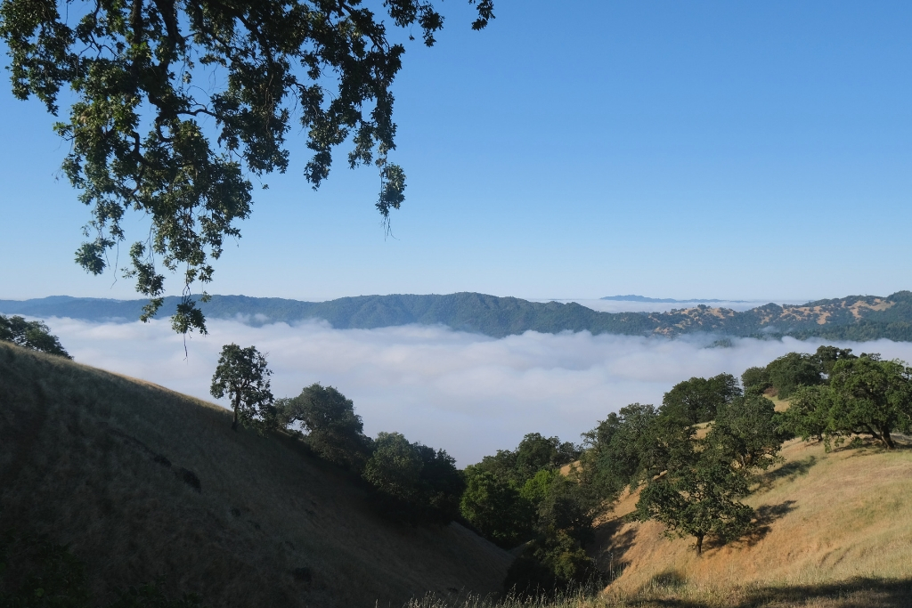 MEET SONOMA – Touristic Napa’s mellow big sister