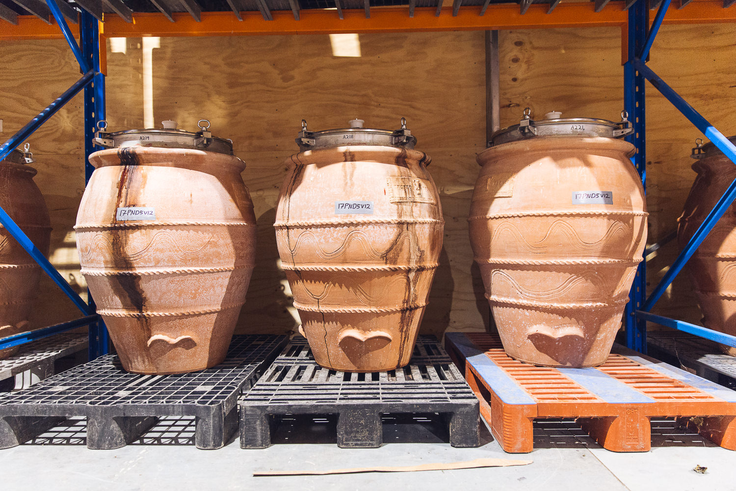 Making wine in amphora with Trofeo Estate